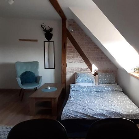 Urocze Studio Z Klimatem W Centrum Legnicy Легница Екстериор снимка